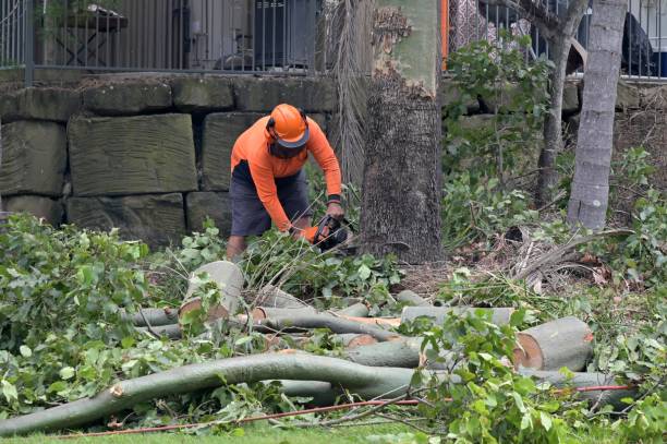  Halesite, NY Tree Services Pros